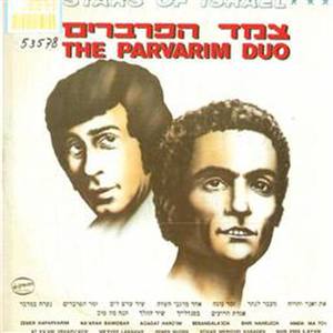 The Parvarim Duo