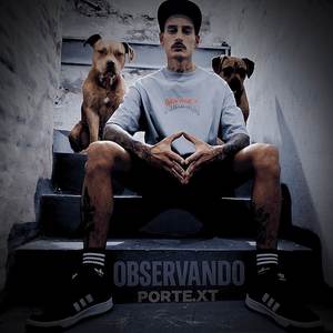 OBSERVANDO (Original)