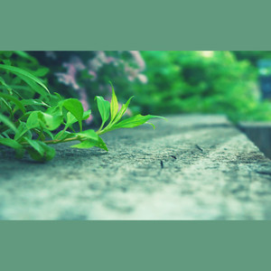 洛诗琴 - 一个人想着一个人 (落日版)