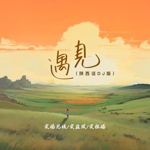 宋福兄妹 - 遇见 (陕西话DJ版)