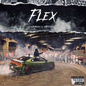 Flex (Explicit)