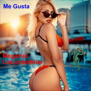 Me Gusta (Megamix)