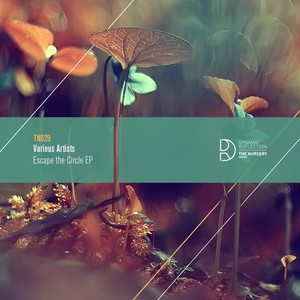 Rattling Sticks (Original Mix)