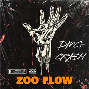 Zoo flow (Explicit)