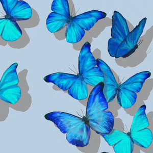 Shining For One Thing