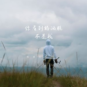 你看到的洒脱不是我