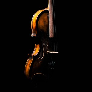 Tranquil Symphony for Mind