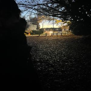 Playing With My Mind (Explicit)