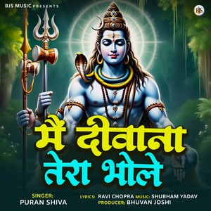 Main Deewana Tera Bhole