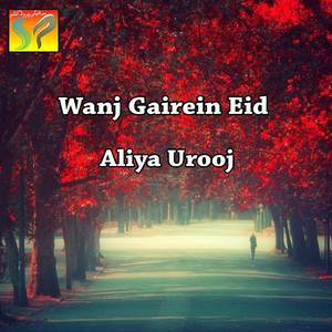 Yaar Way Tediyan Ay Tasweeran