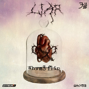 Liar (WhyM3 Flip)