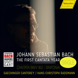 Gleichwie der Regen und Schnee vom Himmel fällt, BWV 18.2 - Gleichwie der Regen und Schnee vom Himmel fällt, BWV 18.2: No. 1, Sinfonia