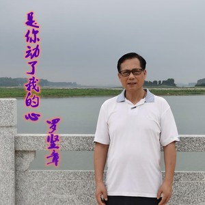 是你动了我的心