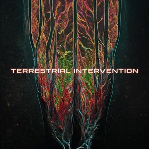 Terrestrial Intervention (Phylo Remix) [feat. Phylo]