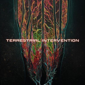 Terrestrial Intervention [feat. Phylo] (Phylo Remix)