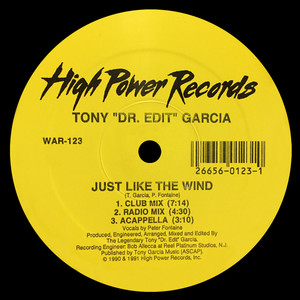 Just Like the Wind (Club Mix)