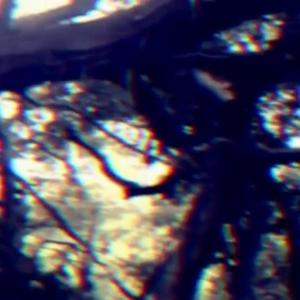 ON THE RUN (Explicit)