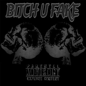 ***** U FAKE (Explicit)