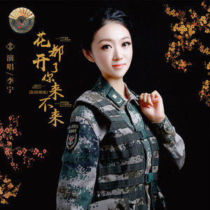 花都开了你来不来 (DJ何鹏版)