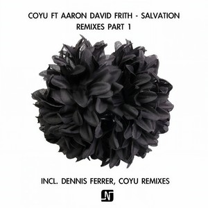 Salvation (Dennis Ferrer Remix)