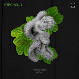 Intro Vol. 1