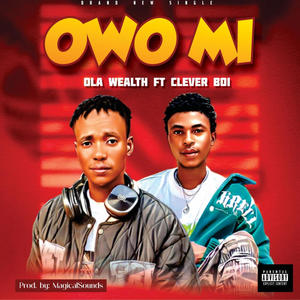 Owo Mi (feat. Clever boi)