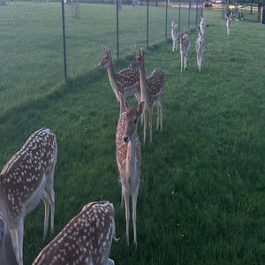 what you need (feat. Maxxtellem)