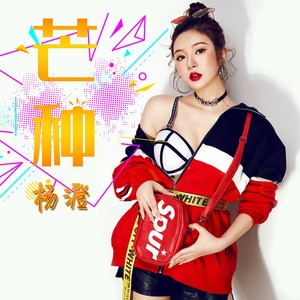 芒种 (致敬版伴奏)