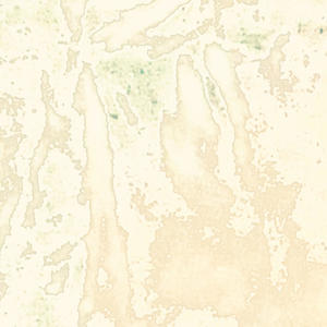 offthamolly! (Explicit)