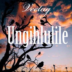 Ungihlulile