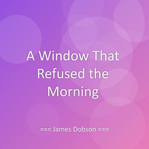 A Window That Refused the Morning