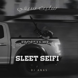 Sleet Seifi