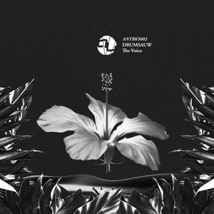 The Voice (Original Mix)