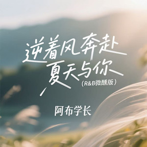 阿布学长 - 逆着风奔赴夏天与你 (R&B微醺版)