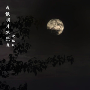 我恨明月不照我 (改编版)