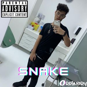 Snake (Explicit)