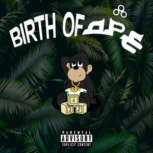 Birth Of APE (Explicit)