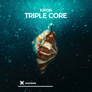 Triple Core