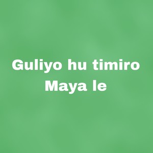 Guliyo hu timiro Maya le