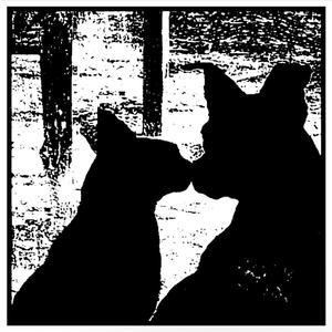 the cure for insomnia