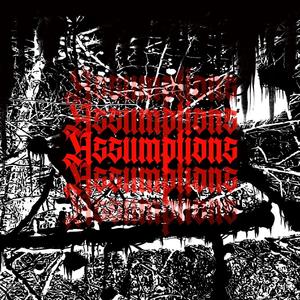 Assumptions (Explicit)