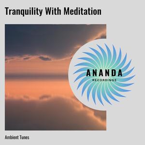 Tranquility With Meditation: Ambient Tunes