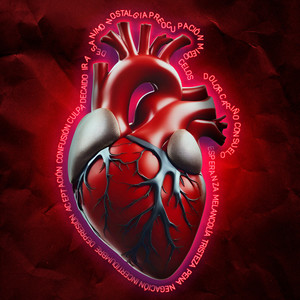 Elefantes En La Habitación