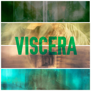 Viscera (Original Film Score)