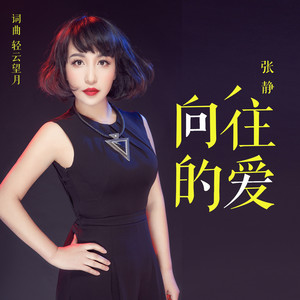 向往的爱 (DJ可乐版)