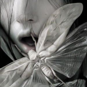 green house gas (Explicit)