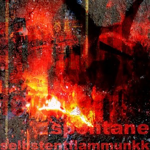 Spontane Selbstentflammunkk