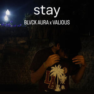 Stay (valious)