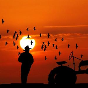 So Sweet(feat. Dreea) (Explicit)