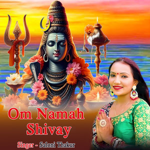 Om Namah Shivay